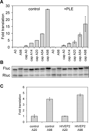 FIGURE 4.