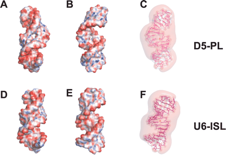 FIGURE 5.