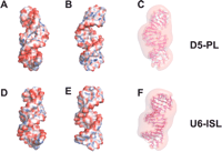 FIGURE 5.