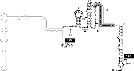 FIGURE 8.
