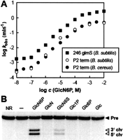 FIGURE 7.