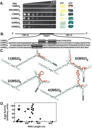 FIGURE 2.