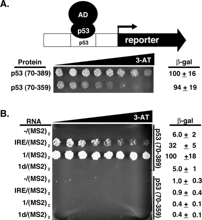 FIGURE 4.