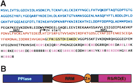 FIGURE 1.