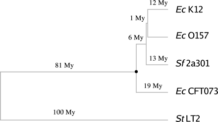 FIGURE 1.