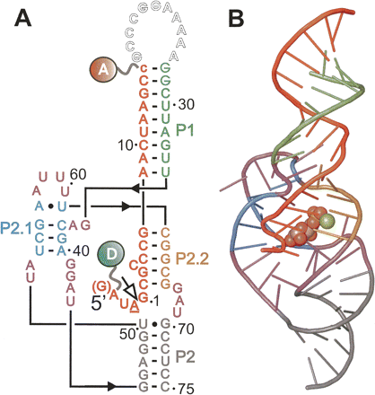 FIGURE 1.