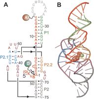 FIGURE 1.