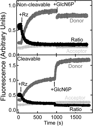 FIGURE 4.