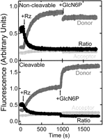 FIGURE 4.