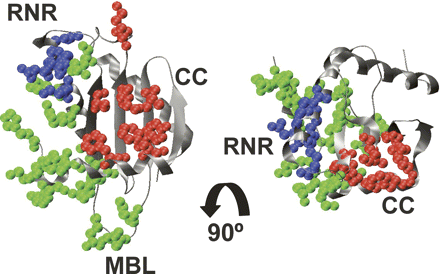 FIGURE 3.