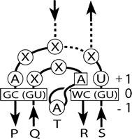 FIGURE 4.