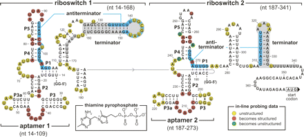 FIGURE 3.