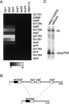 FIGURE 2.