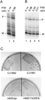 FIGURE 3.