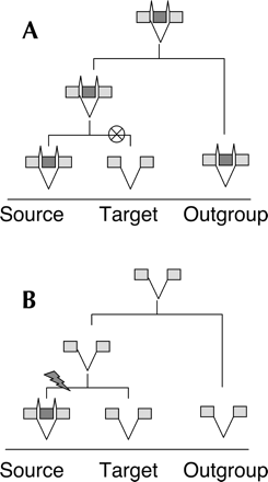FIGURE 1.