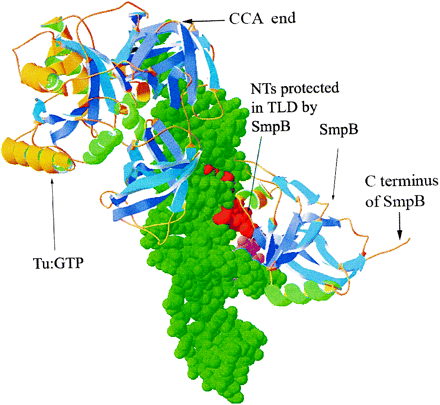 FIGURE 3.