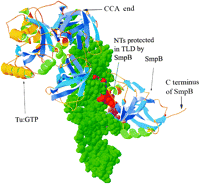 FIGURE 3.