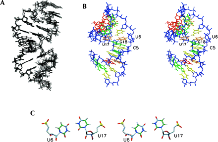 FIGURE 5.
