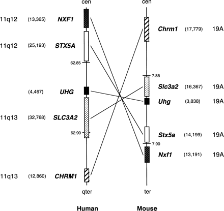 FIGURE 2.