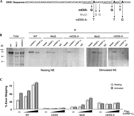 FIGURE 6.