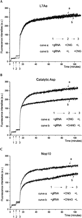 FIGURE 2.