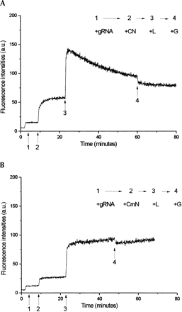 FIGURE 4.