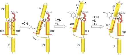 FIGURE 6.