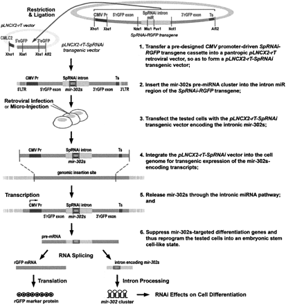FIGURE 1.