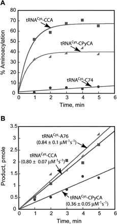 FIGURE 4.