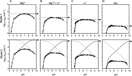 FIGURE 1.