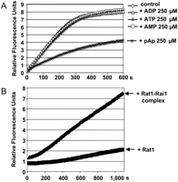FIGURE 10.