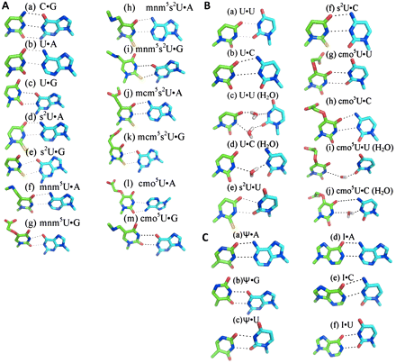FIGURE 2.