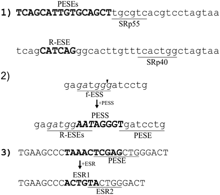 FIGURE 1.