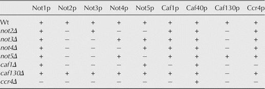 TABLE 2.