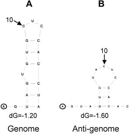 FIGURE 4.