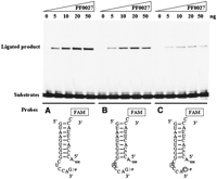 FIGURE 5.