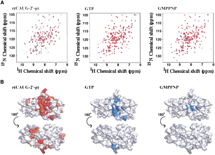 FIGURE 7.