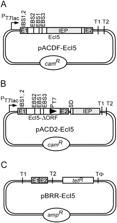 FIGURE 2.