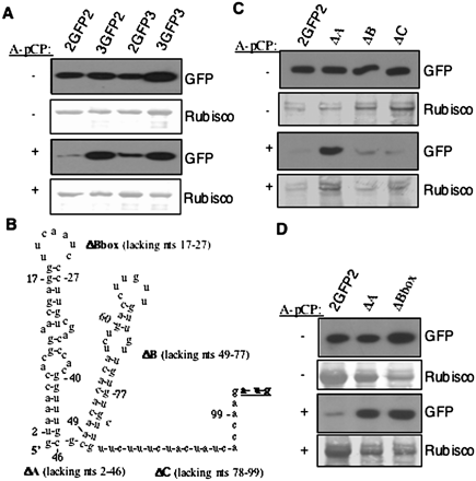 FIGURE 6.