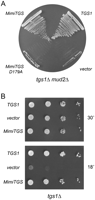 FIGURE 6.