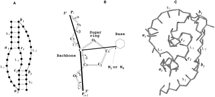 FIGURE 1.