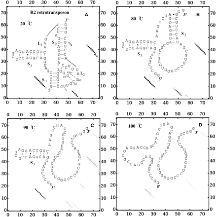 FIGURE 8.