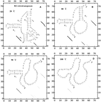 FIGURE 8.