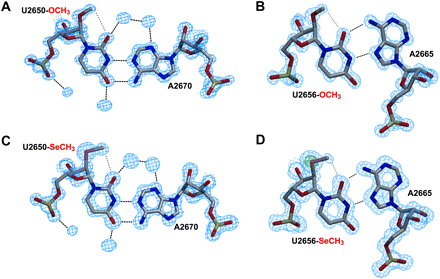 FIGURE 7.