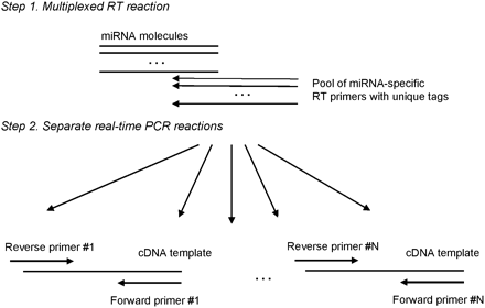 FIGURE 1.