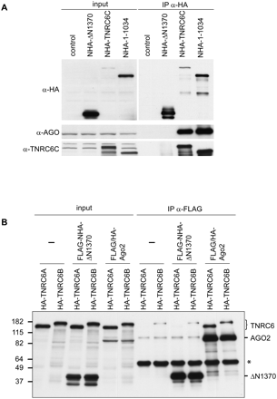 FIGURE 7.