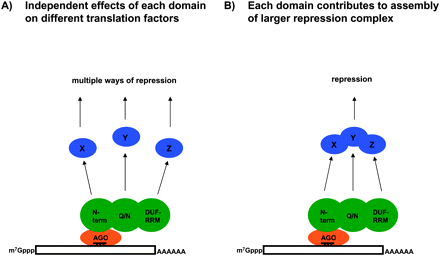 FIGURE 7.