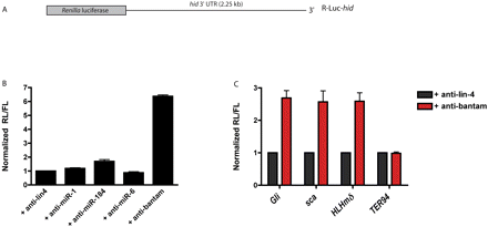 FIGURE 2.