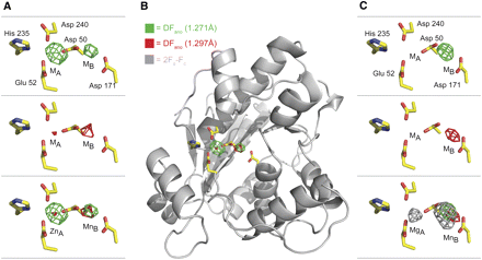 FIGURE 2.