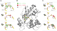 FIGURE 2.